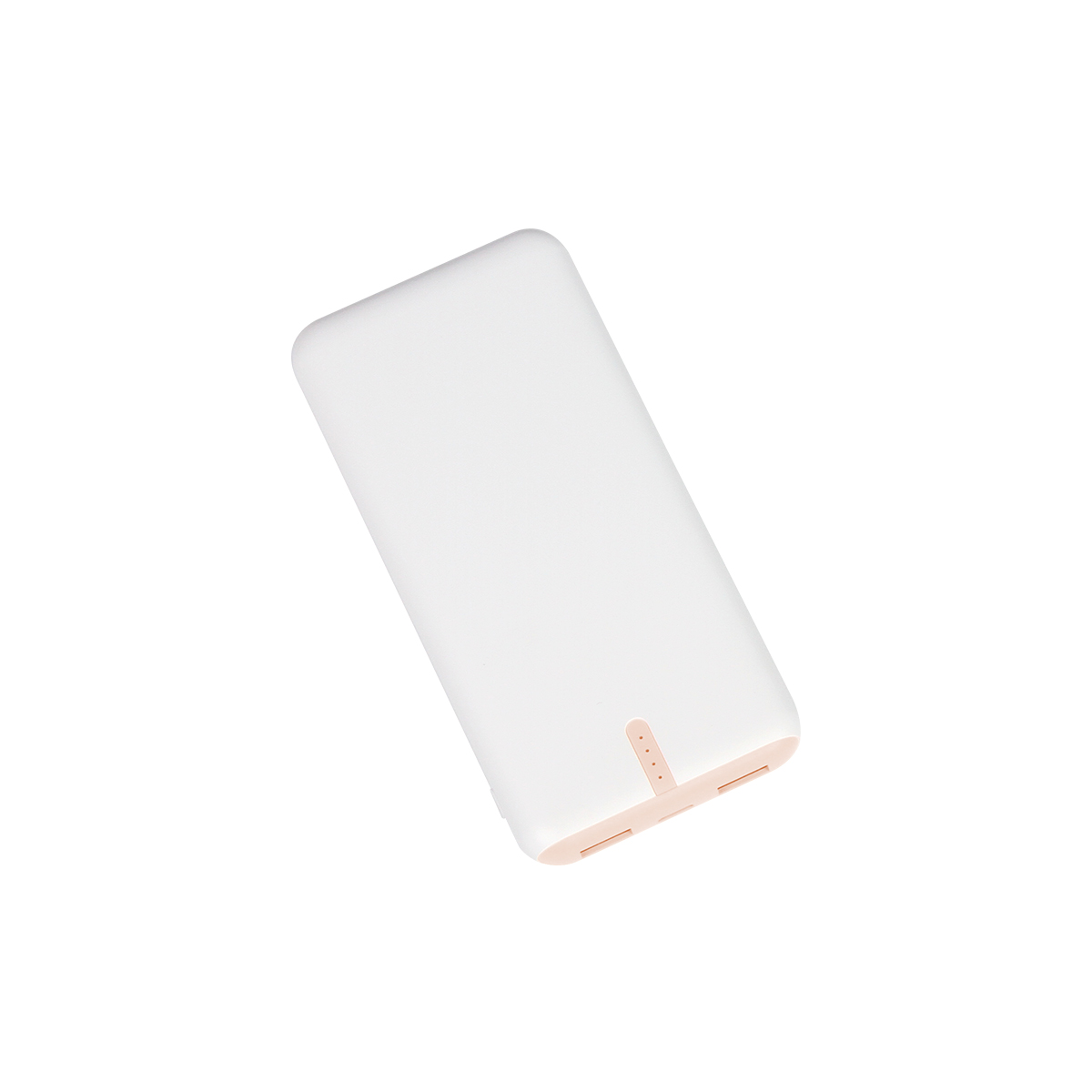POWER BANK RENARD