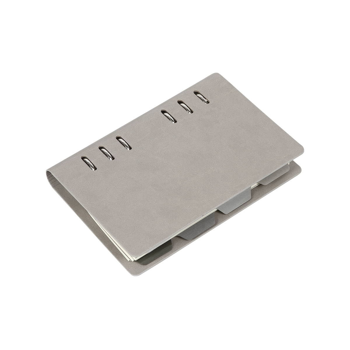 CARPETA MUSAID