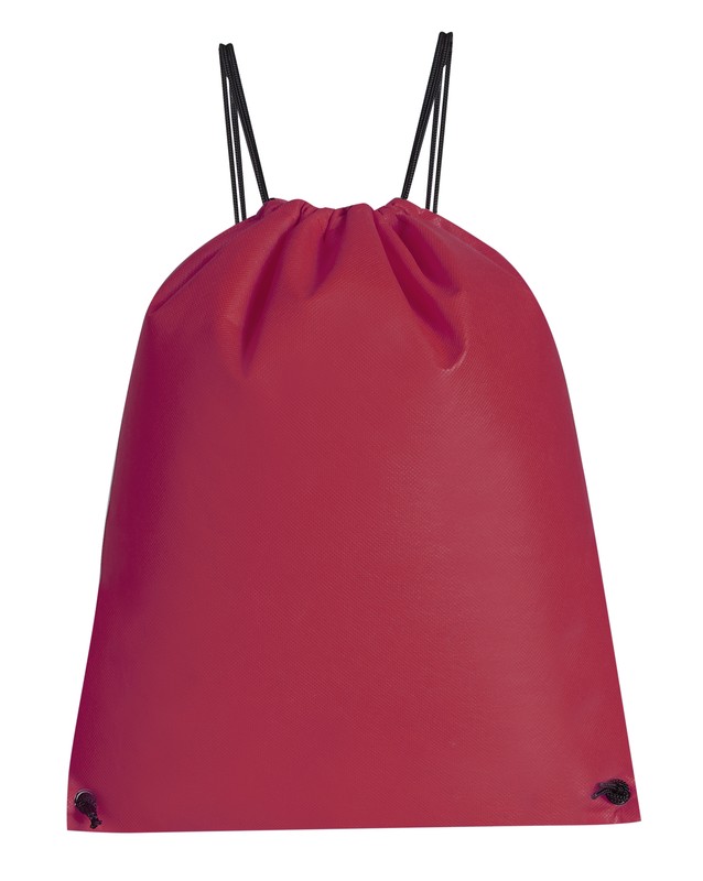 BOLSA-MOCHILA PASTRANA